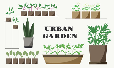 Urban Garden with home plants. Cozy Home Garden furnished in Hygge style.のイラスト素材