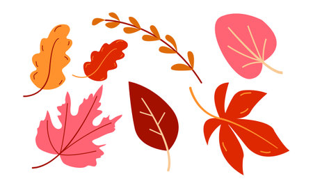 autumn leaves set. Simple cartoon flat style. Design for stickers, web and mobile app. Vector illustration isolated on white backgroundのイラスト素材