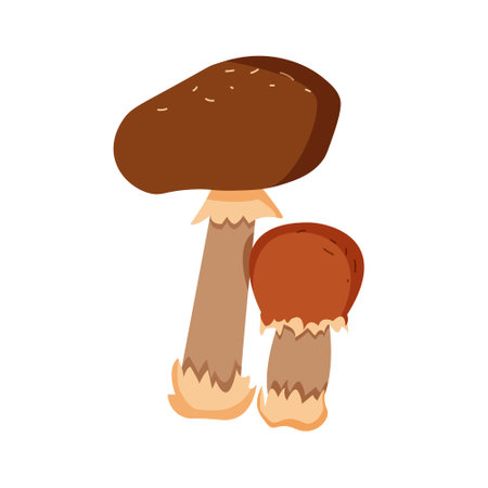 cartoon mushrooms. forest wild mushrooms. vector illustrationのイラスト素材
