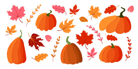Set of autumn leaves and pumpkins in flat style. vector illustrationのイラスト素材