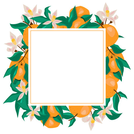 Square frame with oranges and flowersのイラスト素材