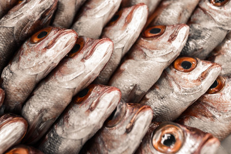Fresh fish on the counter in the supermarket, close-up.