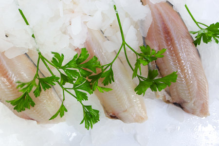Herring fillets on ice with parsley, close-upの写真素材