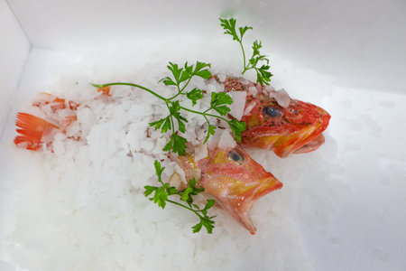 Close up of scorpion fish with white rice and parsley