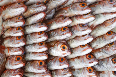 Close up of fresh fish for sale at the market in Thailand.