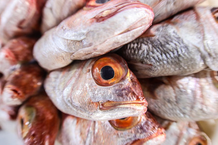 Close up of fresh fish for sale at the market in Thailand.の写真素材