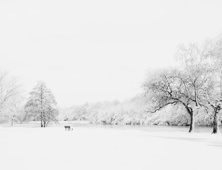 Winter landscape with deserted bench covered in fresh snowの写真素材