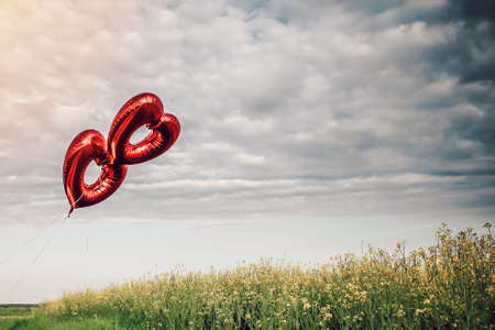 Two red heart-shaped balloons in the air. Beautiful natural background with sky and grass.の写真素材