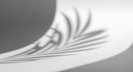 Shadow overlay effect for photo and mockups. Natural light casts shadows from palm leaves on a white wall.の素材