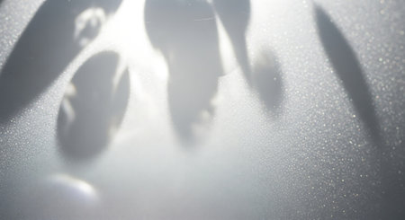 Shadow of a person walking on a foggy window. Selective focus.の素材
