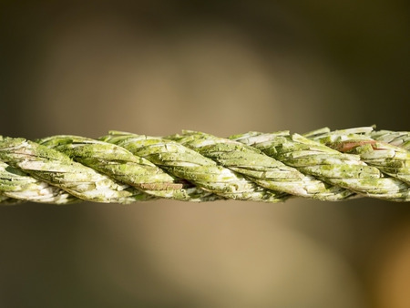 Closeup of an old vintage rope against the blurry background.の写真素材