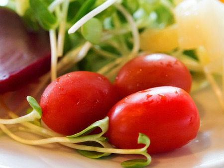 Fresh red tomatoes with green vegetable and beetroot in white plate for salad meal. (selective focus)の写真素材