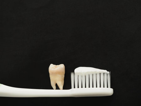 Real tooth on white toothbrush with toothpaste on black background. Good healthy teeth concept.