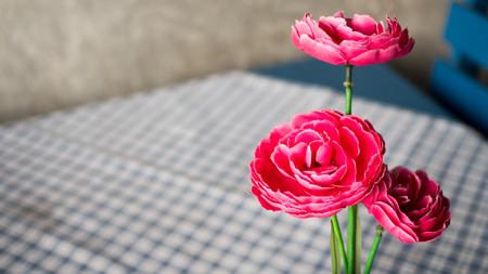 Red plastic rose flower pot on blue and white plaid tablecloth, Coffee tableの写真素材