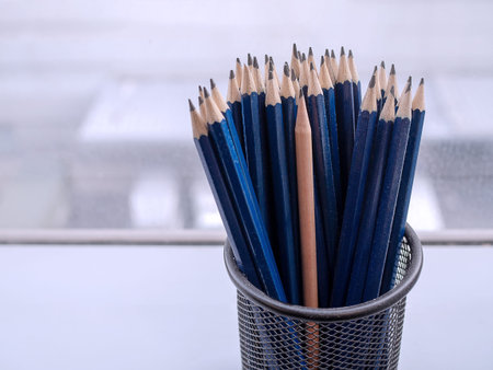 Blue pencils and one different brown sharp pencil standing out in pencil case. Leadership growth in...