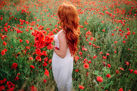 beautiful young woman in poppy field holding a bouquet of poppies, summerの写真素材