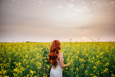 Young beautiful red-haired woman in a flowering rapeseed field at sunset with her back to the cameraの写真素材