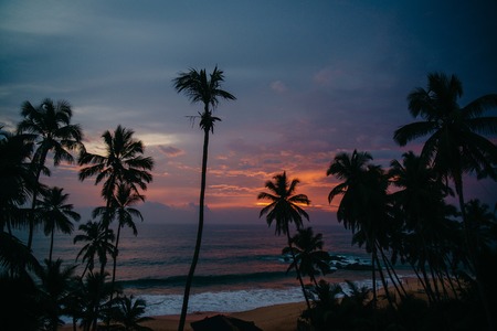 beautiful view of the ocean through the silhouettes of palmsの写真素材