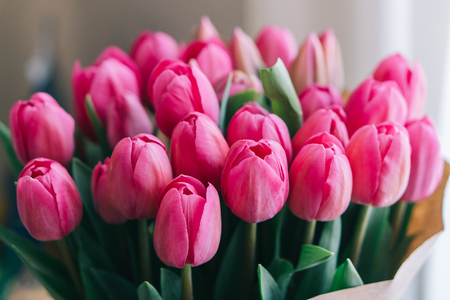 bouquet of many purple tulips, close upの写真素材