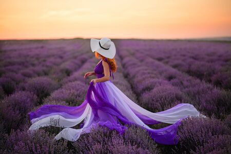 Young woman in luxurious purple dress standing in lavender field, rear viewの写真素材
