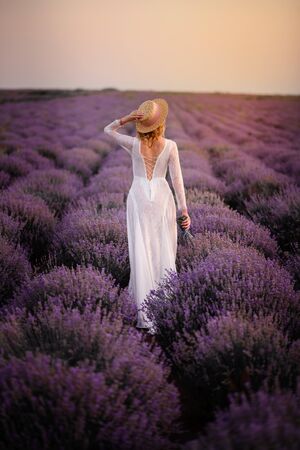 Young woman in white dress walks through blooming lavender field at sunsetの写真素材