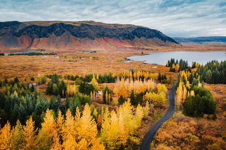Aerial view autumn forest on background of high mountains and lake, Icelandの写真素材