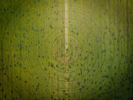 Aerial view of round field of blooming sunflowers with radial irrigation system. Top down view.の写真素材