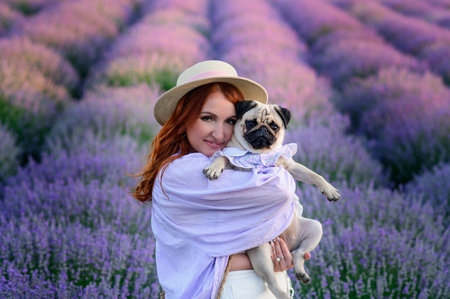 Portrait of a pug and its owner. A young red-haired woman holds her dog in her arms in a blooming lavender field. The pug and woman looks at the camera.の写真素材
