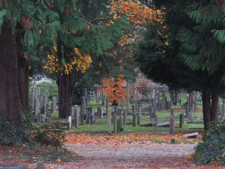 graveyard background.