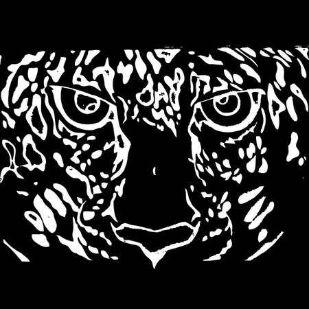 Tiger Face Vector