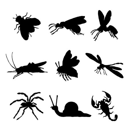 Insect Animal Icon Flat Isolated Black Silhouette Bug Ant Butterfly Spider Vectorのイラスト素材