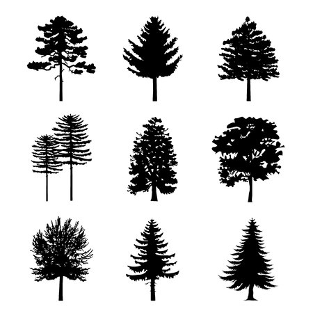 Tree Black Silhouettes Nature Forest Vector Illustrationのイラスト素材