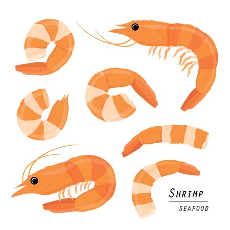 Set of shrimps isolated on a white background. Cartoon Vector illustrationのイラスト素材