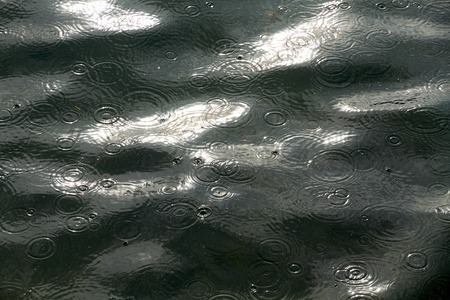 Rain drops on the seaの写真素材
