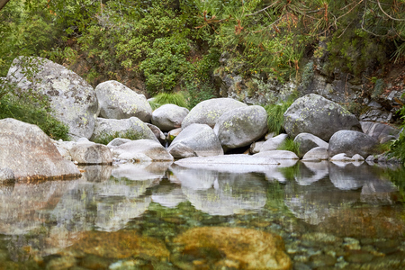 green transparent riverの写真素材