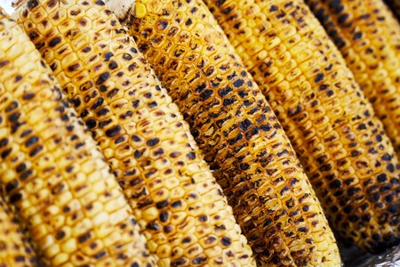 row of rosted corn cobの写真素材
