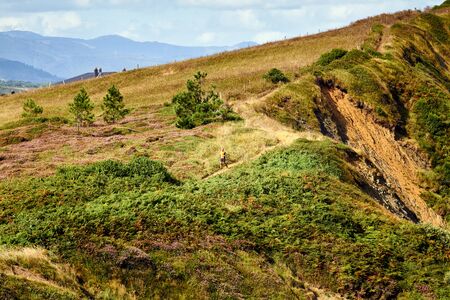 man trail running in the countrysideの写真素材