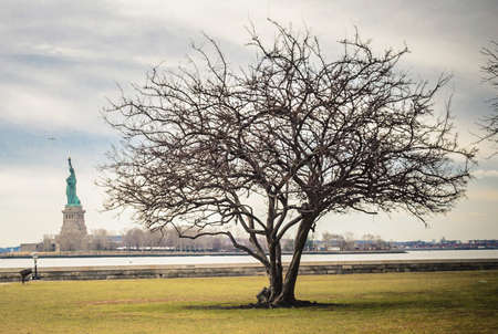 Landscape Photography with a  Large Bare Tree and Lady Liberty Statue in Background. New York City, USAのeditorial素材
