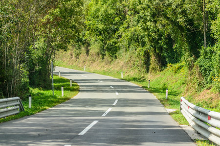 Narrow Winding Asphalt Road through Forest with Green Trees, Grass and Bushes in Slovenia. Roads Passing Through Beautiful Natural Environment.の写真素材