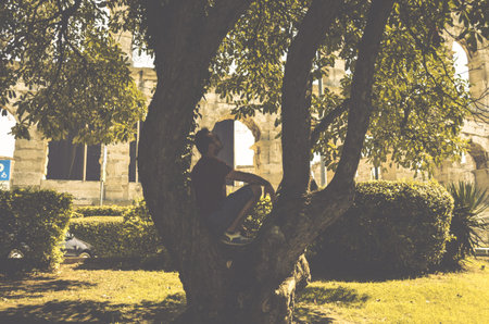 A Young Man is Sitting on a Tree in a Park. Caucasian Male Posing on a Tree Trunk under the Shadow