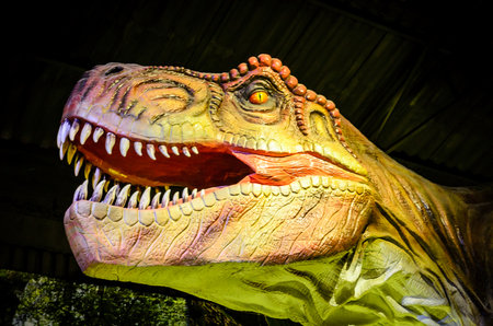 Realistic Close-up of a Fierce Tyrannosaurus Rex Head with Vivid Colors, Sharp Teeth, and Lifelike Textures. Perfect for Educational Projects, Dinosaur Exhibitions and Museumsの写真素材