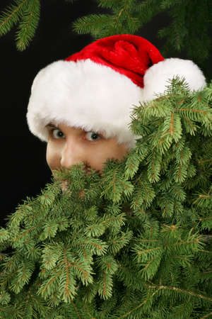 christmas girl in a santa hat peeking from behind fir tree branchesの写真素材