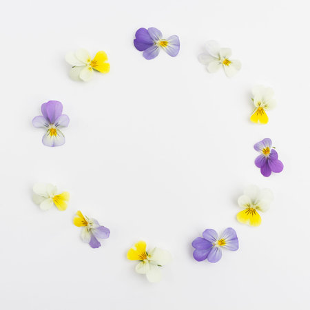 Frame from violets. Greeting cards. Violets background. Flower frameの写真素材