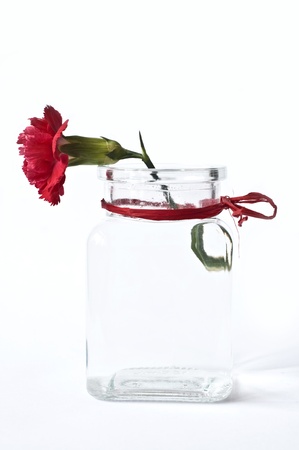 red carnation in vaseの写真素材