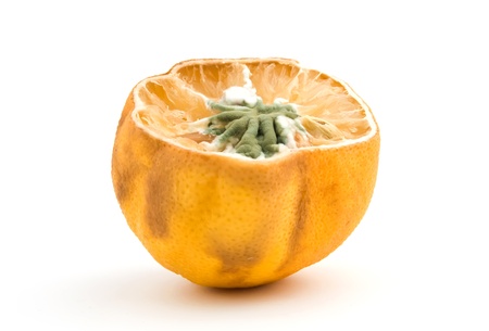 moldy lemon isolated over whiteの写真素材