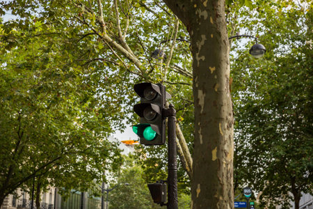 Traffic light on a street in Paris, France. Green and red traffic lightの写真素材