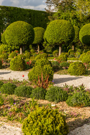 Gardens in the park. Beautiful landscaping in the garden.の写真素材