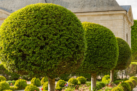 Gardens in the Formal Garden of Versailles Palaceの写真素材