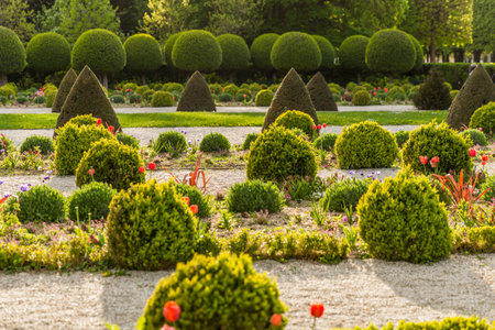 Flowerbeds and shrubs in the park. Spring landscape.の写真素材