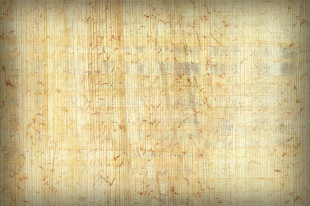 Texture of papyrus paper to use as a background.の写真素材